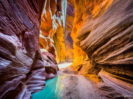 Into the Slot: Our Wild, Beautiful, and Muddy Buckskin Gulch Adventure