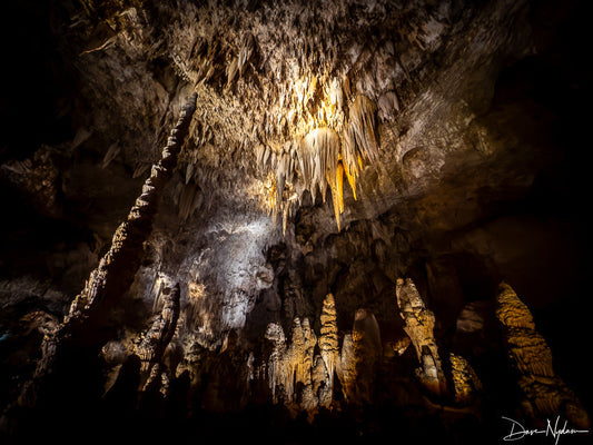 Carlsbad Caverns, NM
