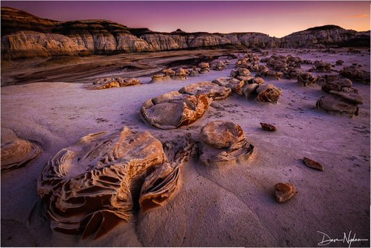 Bisti/De-Na-Zin Wilderness, New Mexico