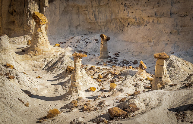 The Toadstool Hoodoos - Kanab, UT